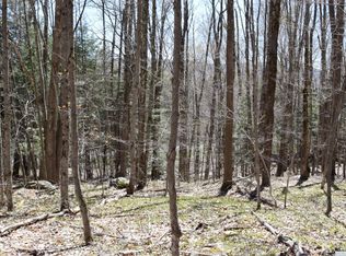 261 Bailey Rd, Jewett, NY 12444