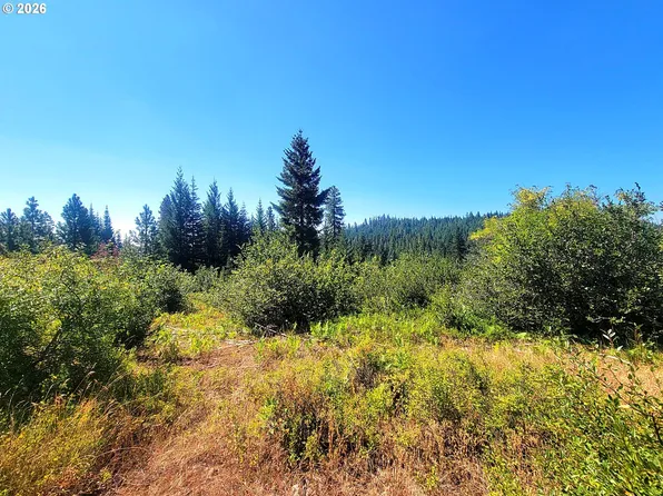 1 Simcoe Dr, Goldendale, WA 98620