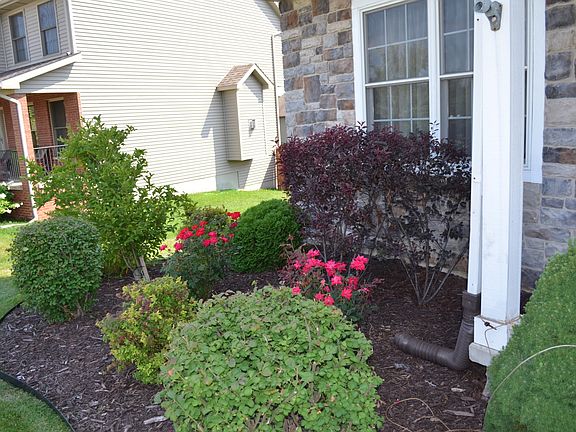 Professional landscaping