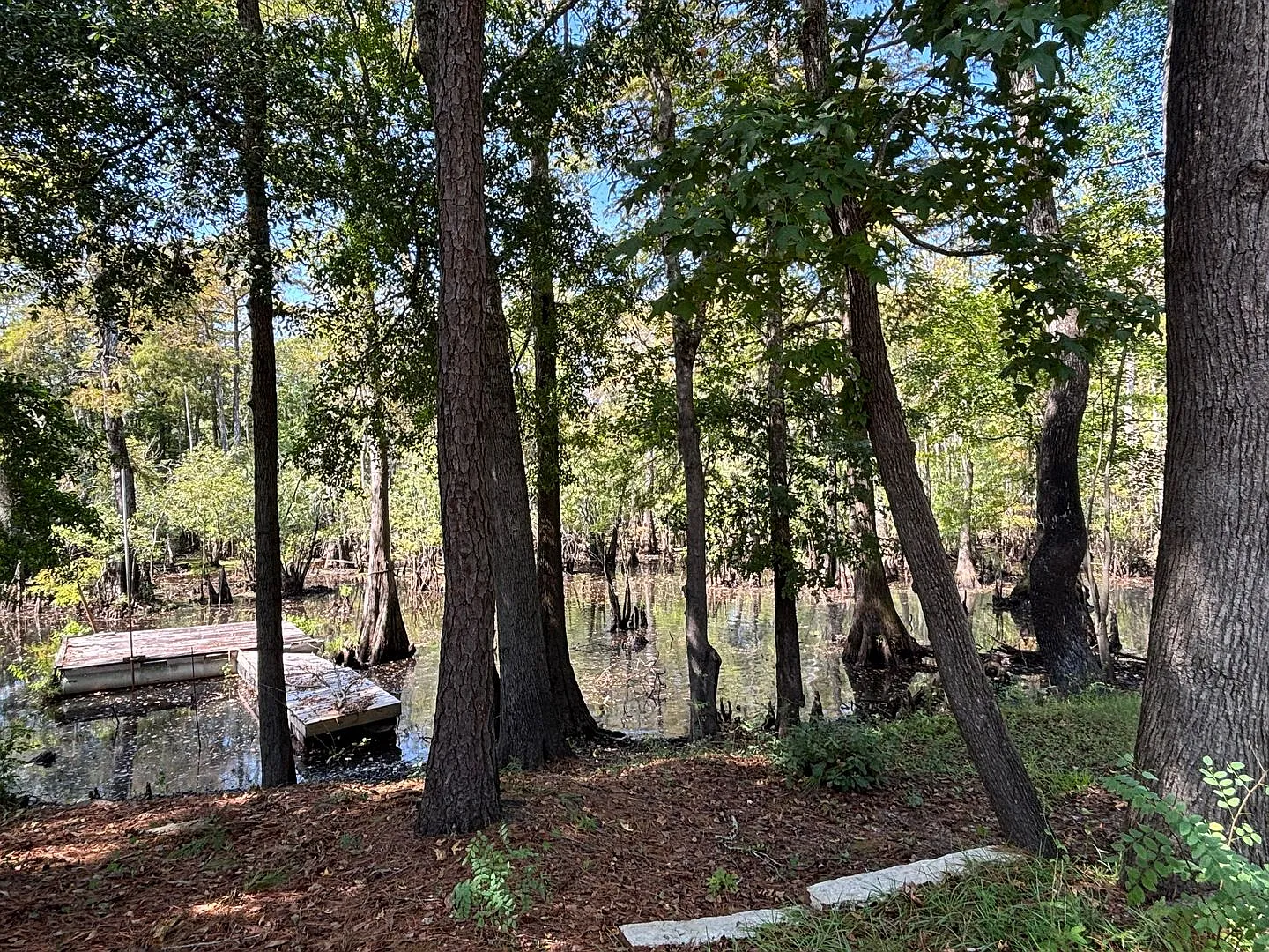 2 Bed 2 Bath - River Front - Private Dock - Water Access — Photo 4
