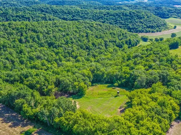 W26098 W Tamarack Rd, Arcadia, WI 54612