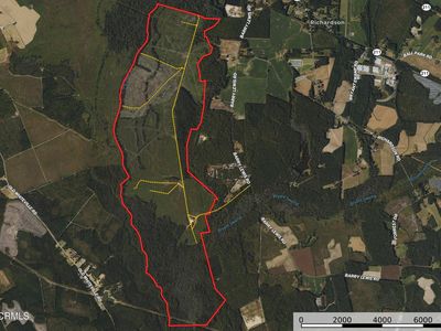 Tbd Berry Lewis Road, Bladenboro, NC, 28320