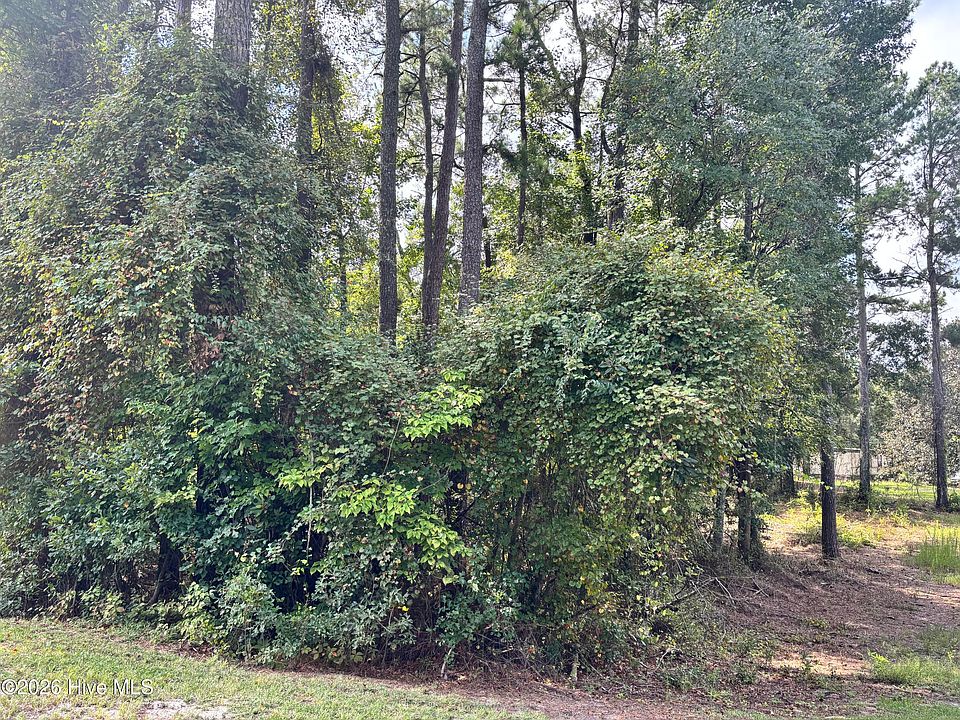 1st image of 16 A Point Caswell Road LOT 16A