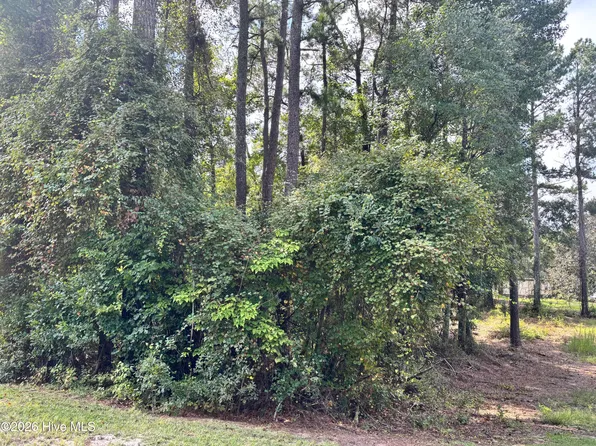 16 A Point Caswell Road LOT 16A, Atkinson, NC 28421