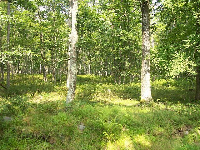 1st image of LOT 3502 Walton Way