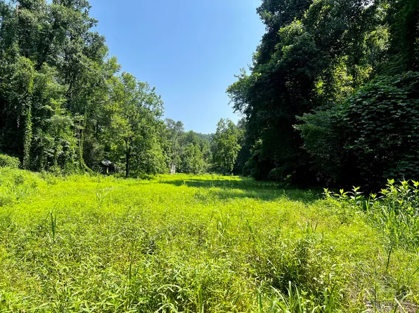0 E Highway 25, Del Rio, TN 37727