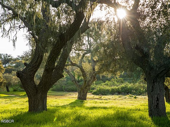 5th image of 9985 Alisos Canyon Rd