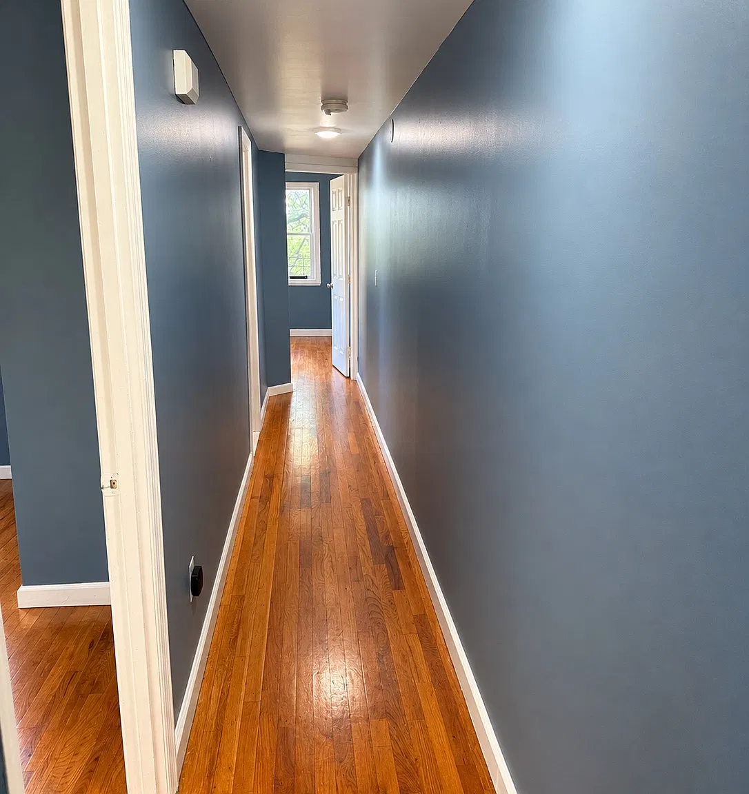 3 bed, $2,800 — Photo 2