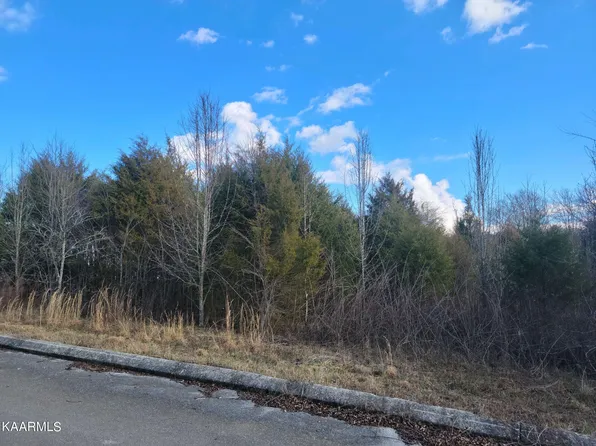 208 Jill Kristin Ln, Spring City, TN 37381