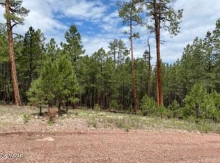 15 County Road 2083, Alpine, AZ 85920