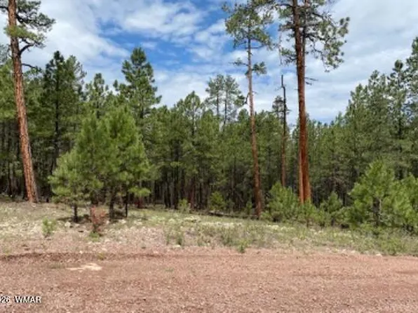 15 County Road 2083, Alpine, AZ 85920