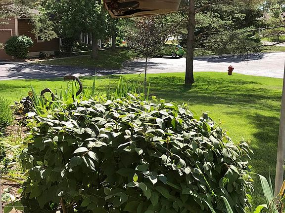 5th image of 2375 N Wild Blossom Ct #106
