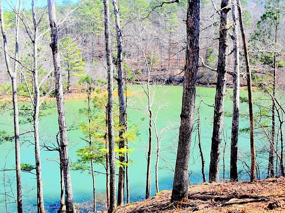 Image 2: Lake View