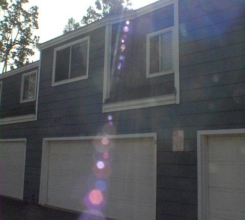 2nd image of 2239 S Fern Ave APT D