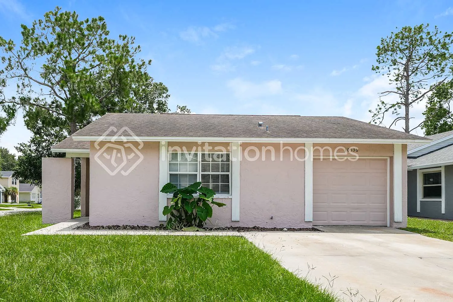 10536 Chadbourne Dr Tampa, FL 33624 — Photo 1