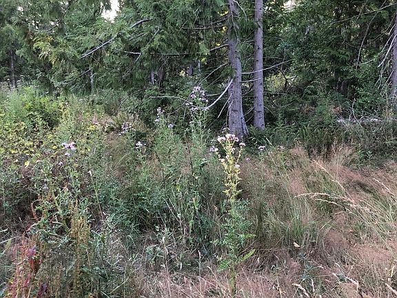 4th image of 121 N Bagley Creek Road