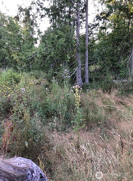 4th image of 121 N Bagley Creek Road
