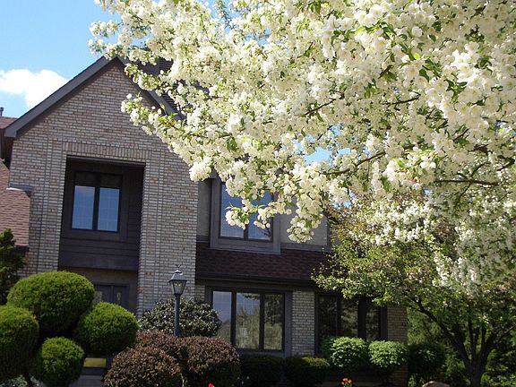 4th image of 4155 Checkerberry Ct
