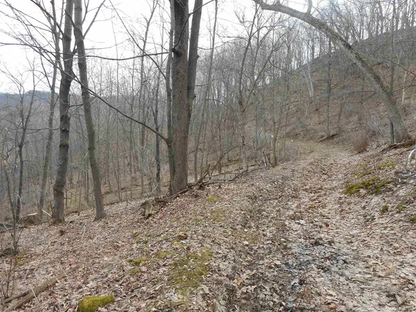 24503 Livingston Road, Wilton, WI 54670