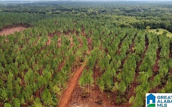 3rd image of Us Highway 231