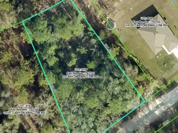 LOT 19 Canyon Swallow Rd Lot 19, Brooksville, FL 34614