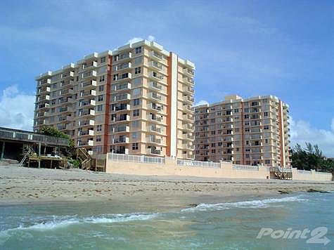 View of 45 Ocean from the shoreline (South)