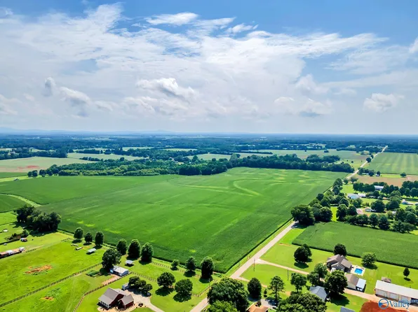 80 Buddy Williamson Rd, New Market, AL 35761