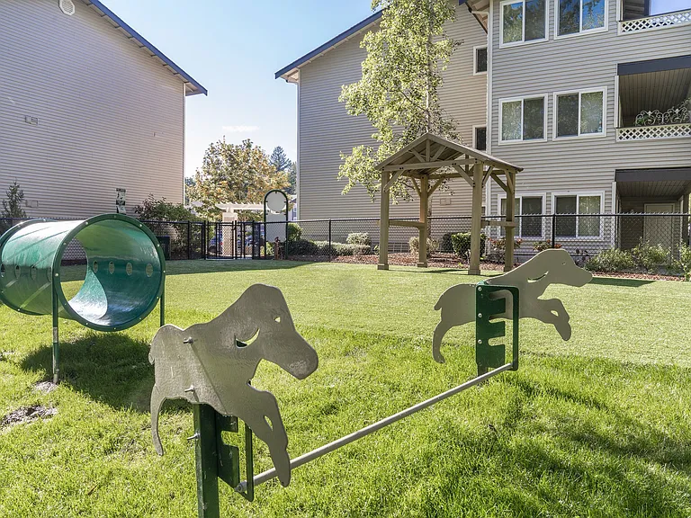 Off-Leash Dog Park Agility Accessories