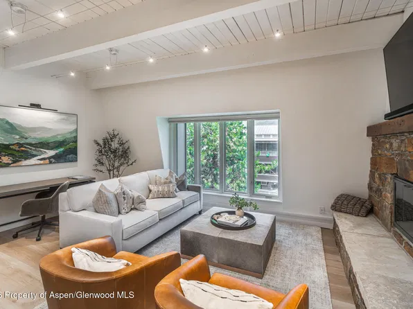 725 E Durant Ave #19, Aspen, CO 81611