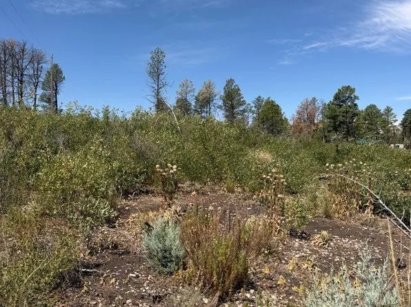 29 Movac Loop, Timberon, NM 88350