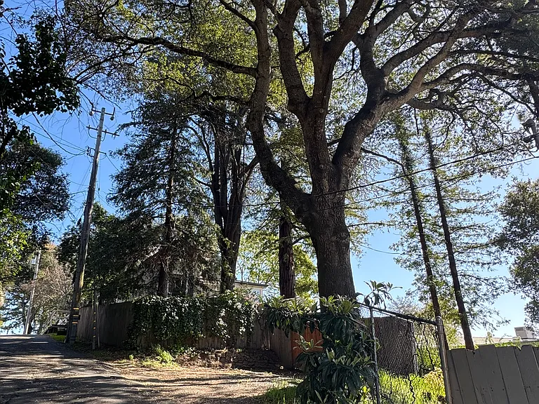 private road leading to parking spot