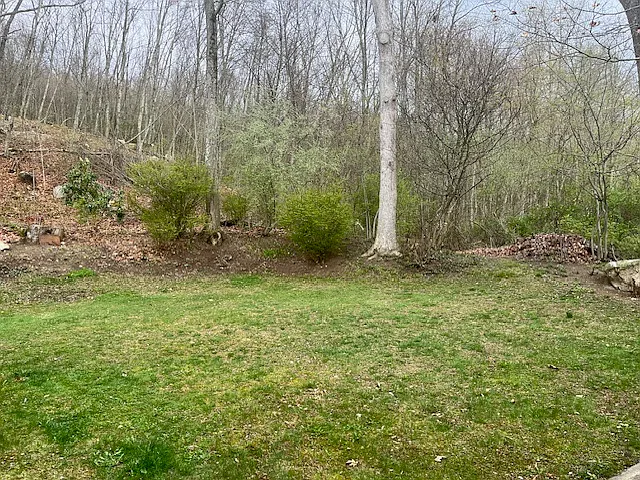 1 bed, 450 sqft, $1,375 — Photo 2