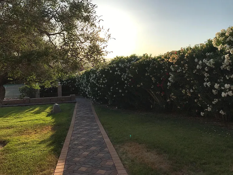 Morning Sun Way — Photo 20