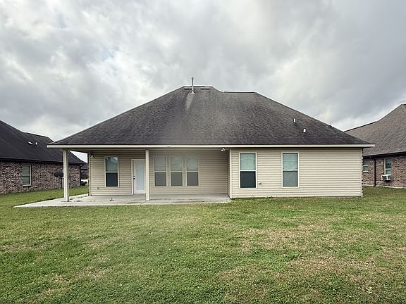 Back View