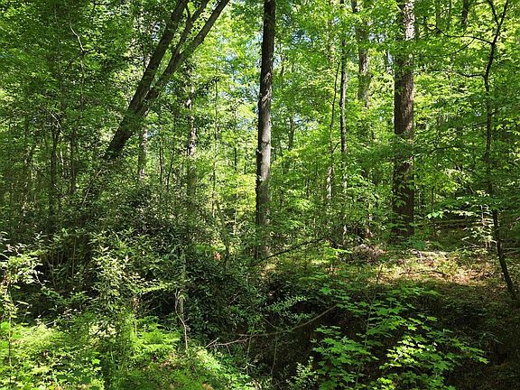 4th image of 1898 Wood Valley Rd