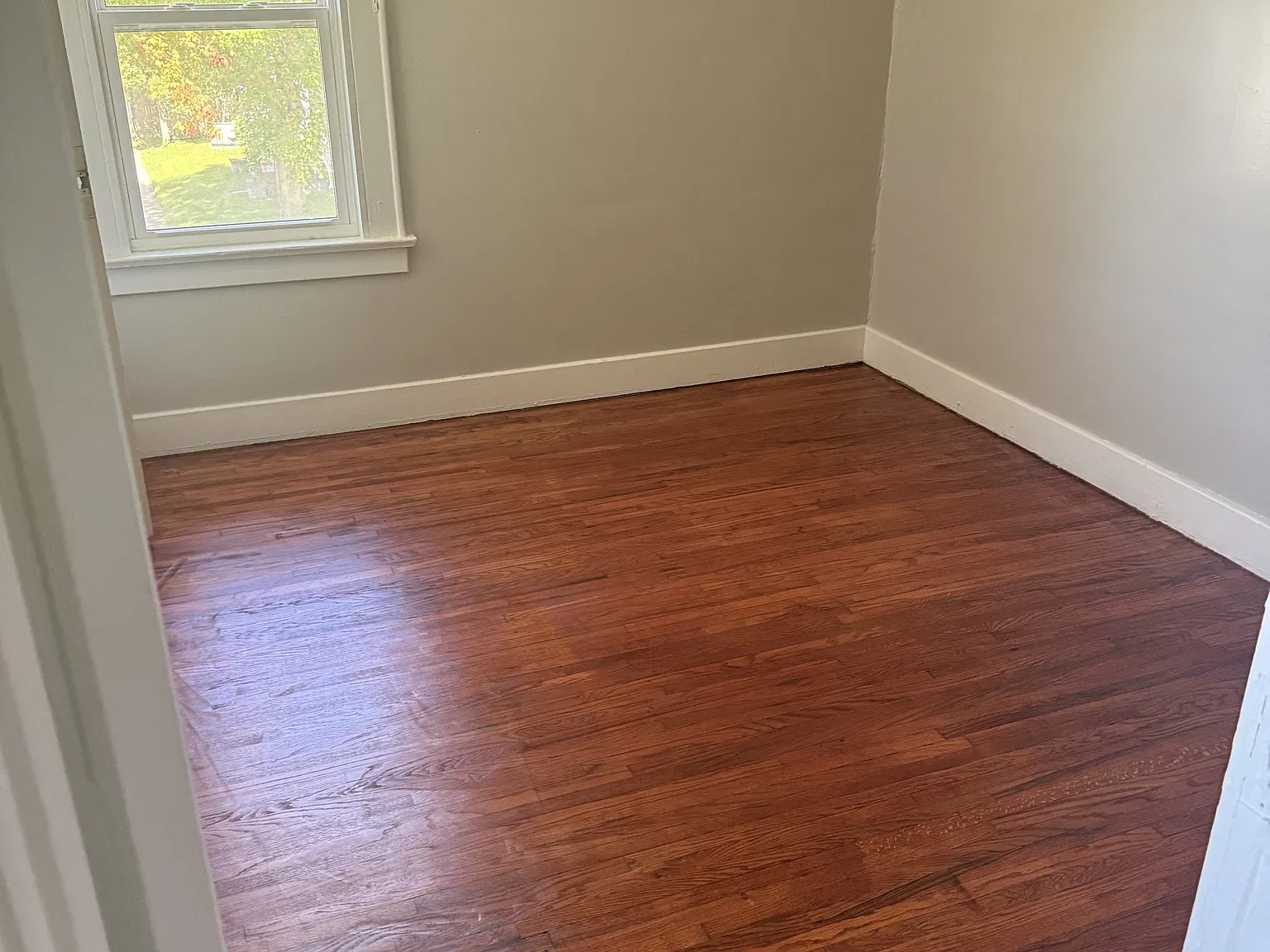 705 West Murphy Street - 1 — Photo 4