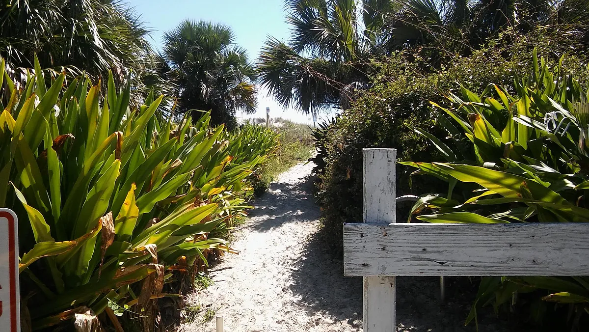 Beautiful walk over to the sand... - 203 C St #A