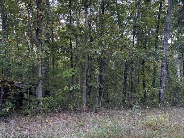 20 Ski View Dr, Dunlap, TN 37327