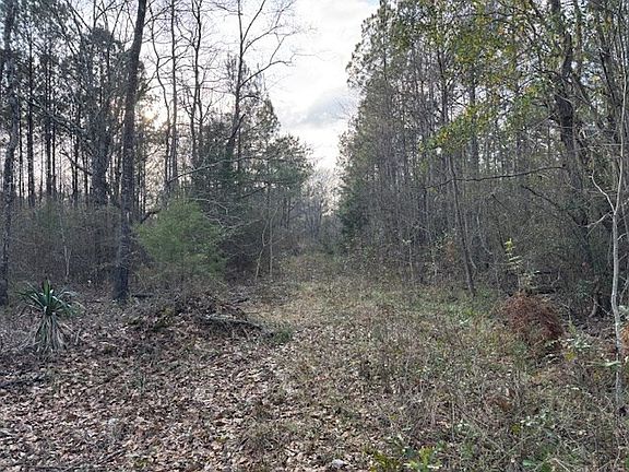 3rd image of 75 Point Escambia Cir