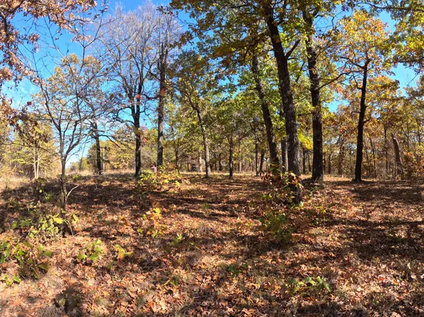 Tbd Ridge, Tunas, MO 65764