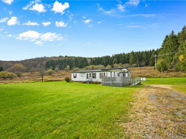 375 Baptist Church Rd, Charlotteville, NY 12036