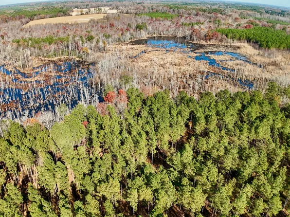 0 Piney Grove Church Rd, Littleton, NC 27850