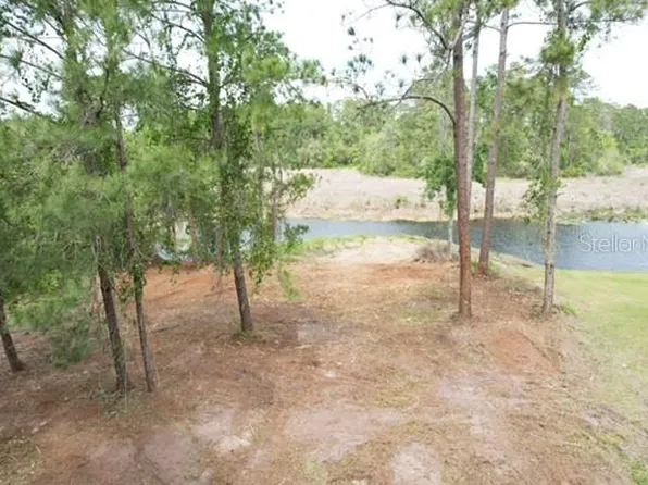 Locust Run Dr Lot 43, Ocala, FL 34472