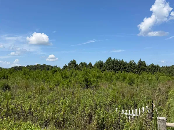 175 Dove Rd., Loris, SC 29569
