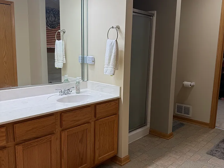 Master bath vanity and shower