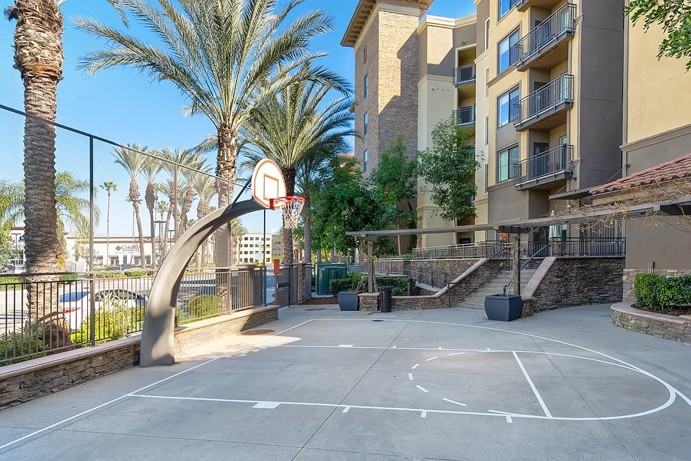 The Colony at The Lakes — Photo 4