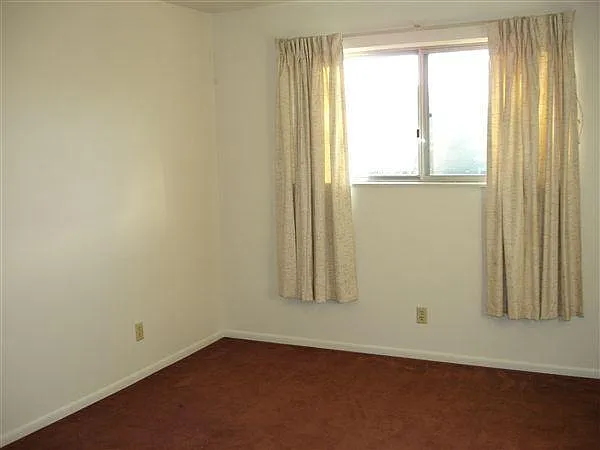 1360 Paul Ct — Photo 7
