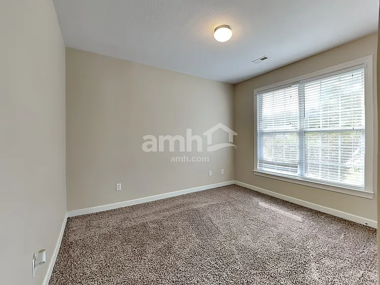 16 Greenbranch Way — Photo 12