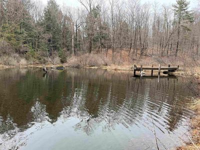 1499 Josh Road, West Halifax, VT, 05358