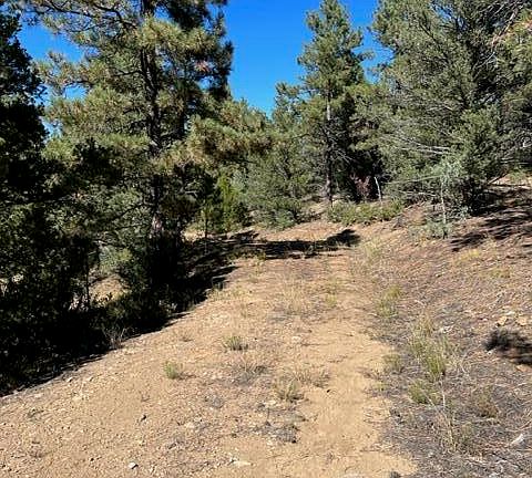 4th image of 33460 Alpine Meadows Dr Lot G-16